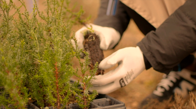 Acepte primero la política de cookies