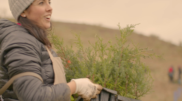 Acepte primero la política de cookies